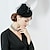 baratos Chapéus e Fascinators-Chapéus de fascinantes de pena de lã Chapéu de estilo clássico feminino