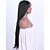 cheap Synthetic Lace Wigs-Synthetic Lace Front Wig Straight Straight Lace Front Wig Medium Length Long Natural Black #1B Synthetic Hair Women&#039;s Black