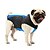 abordables Vêtements pour chiens-Chien Manteaux Couleur Pleine Décontracté / Quotidien Garder au chaud Sportif Hiver Vêtements pour Chien Vêtements pour chiots Tenues De Chien Rouge Bleu Gris Costume pour fille et garçon chien