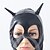 cheap Sexy Costumes-Women&#039;s Bat Movie / TV Theme Costumes Career Costumes Sexy Uniforms More Uniforms Sex Zentai Suits Cosplay Costume Solid Colored Leotard / Onesie Gloves Mask / Catsuit