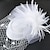cheap Fascinators-Fascinators Kentucky Derby Hat Headwear Net Pillbox Hat Wedding Special Occasion Horse Race Ladies Day Melbourne Cup With Floral Headpiece Headwear