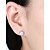 cheap Earrings-Women&#039;s Diamond Crystal Cubic Zirconia Stud Earrings Heart Ladies Personalized Fashion Sterling Silver Zircon Earrings Jewelry Silver For Wedding Party
