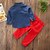 abordables Sets-Kids Boys&#039; Clothing Set Long Sleeve Red Print Cotton Party Daily Formal Bow Dresswear Regular / Fall / Spring