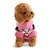 halpa Koiran vaatteet-koiran takki,koiran villapaidat pentuvaatteet ruudullinen / sekki pitää lämpimänä talvikoiran vaatteet pentuvaatteet koiran asut vaaleanpunainen puku villainen xs s m l xl