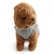 cheap Dog Clothes-Cat Dog Shirt / T-Shirt Puppy Clothes Heart Casual / Daily Dog Clothes Puppy Clothes Dog Outfits Breathable Gray Costume for Girl and Boy Dog Cotton XS S M L XL XXL