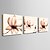 economico Stampe-Stampa Stampe di tela arrotolata - Astratto Tre Pannelli Stampe d&#039;arte
