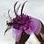 billige Fascinators-fjer / net fascinators kentucky derby hat / blomster med 1 stk bryllup / fest / aften / hestevæddeløb hovedbeklædning