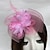 abordables Chapeaux et coiffes-Plume/filet fascinateurs kentucky derby chapeau/fleurs avec 1 pièce mariage/fête/soirée/casque de course de chevaux