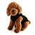 Недорогие Одежда для собак-Собака Футболка Буквы и цифры Зима Одежда для собак Дышащий Черный Костюм Хлопок XS M L