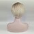 cheap Synthetic Trendy Wigs-Synthetic Wig Straight Straight With Bangs Wig Blonde Short Black / Strawberry Blonde Synthetic Hair Women&#039;s Side Part Blonde