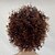 Χαμηλού Κόστους Συνθετικές Trendy Περούκες-Συνθετικές Περούκες Kinky Curly Kinky Σγουρό Περούκα Μεσαίο Μπεζ Συνθετικά μαλλιά Γυναικεία Περούκα αφροαμερικανικό στυλ Καφέ hairjoy