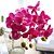 levne Umělé květiny a vázy-Umělé květiny 1 Větev Moderní styl Orchidej Květina na stůl