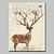 tanie Obrazy ze zwierzętami-Hang-Malowane obraz olejny Ręcznie malowane - Zwierzęta Zwierzęta Nowoczesny Zwinięte płótna / Zwijane płótno
