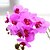 levne Umělé květiny a vázy-Umělé květiny 1 Větev Moderní styl Orchidej Květina na stůl