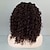 abordables Pelucas sintéticas-Pelucas sintéticas Kinky Curly Estilo Sin Tapa Peluca Marrón Pelo sintético Mujer Peluca afroamericana Marrón Peluca Larga