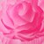 baratos Formas para Bolos-minúsculo rosa flor silicone bolo molde fondant sugarcraft ferramentas