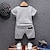 preiswerte Sets-Boys 3D Geometric Striped Clothing Set Half Sleeve Summer Seperate Bodies Cotton Toddler Daily