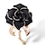 זול סיכות אופנתיות-בגדי ריקוד נשים תפס לשיער פרח נשים אלגנטית אופנתי קלסי סִכָּה תכשיטים לבן שחור עבור יומי רשמי