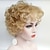 お買い得  古いかつら-Roaring 20S Wig Synthetic Wig Curly Curly Wig Short Blonde Synthetic Hair Women‘s Blonde Christmas Party Wigs