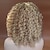olcso Synthetic Lace Wigs-Synthetic Wig Wavy Kinky Curly Kinky Curly Wavy Side Part Wig Blonde Short Blonde Synthetic Hair 16 inch Women&#039;s Blonde