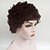 cheap Older Wigs-Synthetic Wig Kinky Curly Kinky Curly Wig Short Brown Synthetic Hair Women&#039;s African American Wig Glueless Brown