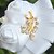 זול פרחי חתונה-פרחי חתונה פרחי דש חתונה / מסיבה מֶשִׁי 3.94 אִינְטשׁ