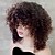 abordables Perruques synthétiques à dentelle-Perruque Synthétique Kinky Curly Très Frisé Perruque Court Marron Cheveux Synthétiques 16 pouce Femme Mèches Colorées / Balayées Perruque afro-américaine Marron