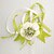abordables Fleurs de mariage-Fleurs de mariage Petit bouquet de fleurs au poignet Mariage / Occasion spéciale Satin 7cm