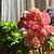 ieftine Flori Artificiale-Flori artificiale 1 ramură Flori de Nuntă Pastoral Stil Plante suculente Față de masă flori