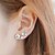 abordables Muotikorvakorut-Women&#039;s Stud Earrings Floral / Botanicals Flower Ladies Fashion Korean Resin Earrings Jewelry Gold / Silver For Daily