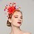 cheap Headpieces-Women&#039;s Feather Headpiece-Wedding Special Occasion Fascinators