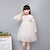 cheap Girls&#039; Dresses-Kids Little Girls&#039; Dress Jacquard Solid Colored Party Daily Embroidered Lace Blushing Pink White Cotton Long Sleeve Simple Basic Vintage Dresses Spring Summer Standard Fit