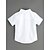 levne T-kusy a košile-Toddler Chlapecké Jednobarevné Bavlna Košile Bílá