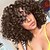 baratos Perucas de cabelo humano-Human Hair Lace Front Wig Bob style Brazilian Hair Curly Natural Black Wig 130% Density with Baby Hair Natural Hairline Unprocessed Women&#039;s Short Human Hair Lace Wig EEWigs