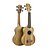 billige Ukuleler-21inch Tilbehør Kit Tre Guitarer Profesjonelt musikkinstrument for studenter for nybegynnere og ungdommer