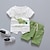 cheap Sets-Toddler Boys&#039; Clothing Set Short Sleeve Green Blue Gray Print Print Cotton School Daily Easter Active Regular / Cute / Spring / Summer