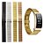 cheap Smartwatch Bands-Watch Band for Huawei B3 Huawei Butterfly Buckle Stainless Steel Wrist Strap