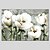 billige Malerier-Print Strukket Lærred Print - Blomstret / Botanisk Moderne Kunsttryk