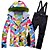 voordelige Ski-kleding-ARCTIC QUEEN Dames Ski-jack met bib-broek Skipak Buiten Winter Thermisch Warm waterdicht Winddicht Ademend Sneeuwpak Sportoutfits voor Skiën Wintersporten / Lange mouw