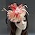 cheap Fascinators-Feather / Net Fascinators / Hats / Headpiece with Feather / Floral / Flower 1PC Wedding / Special Occasion / Tea Party Headpiece