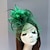 billige Fascinators-Fjer / Net fascinators / Hatte / Hovedstykke med Fjer / Blomster / Blomst 1 stk Bryllup / Speciel Lejlighed Medaljon