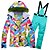 cheap Ski Wear-ARCTIC QUEEN Women&#039;s Ski Jacket with Bib Pants Ski Suit Outdoor Winter Thermal Warm Waterproof Windproof Breathable Snow Suit Clothing Suit for Ski / Snowboard Winter Sports / Long Sleeve