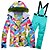 voordelige Ski-kleding-ARCTIC QUEEN Dames Ski-jack met bib-broek Skipak Buiten Winter Thermisch Warm waterdicht Winddicht Ademend Sneeuwpak Sportoutfits voor Skiën Wintersporten / Lange mouw