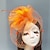 billige Fascinators-Fjer / Net fascinators / Hatte / Hovedstykke med Fjer / Blomster / Blomst 1 stk Bryllup / Speciel Lejlighed Medaljon