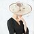זול כיסוי ראש לחתונה-פשתן קנטקי דרבי כובע / כובעים עם פפיון 1pc חתונה / מסיבה\אירוע ערב כיסוי ראש