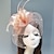 זול כובעים וקישוטי שיער-עור / רשת מפגשים / כובעים / אביזר לשיער עם נוצות / פרחוני / פרח 1 pc חתונה / אירוע מיוחד כיסוי ראש