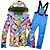 voordelige Ski-kleding-ARCTIC QUEEN Dames Ski-jack met bib-broek Skipak Buiten Winter Thermisch Warm waterdicht Winddicht Ademend Sneeuwpak Sportoutfits voor Skiën Wintersporten / Lange mouw