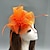 ieftine Pălării &amp; Fascinatoare-pălărie cu pene / plasă fascinatoare Kentucky Derby pălărie / copac cu pene / floral / floare 1 buc nuntă / ocazie specială / casă pentru curse de cai