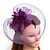 abordables Chapeaux et coiffes-Plume / Filet Chapeau Kentucky Derby / Fascinateurs / Chapeaux avec Plume / Fleur 1 pc Mariage / Occasion spéciale / Course de chevaux Casque