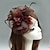 abordables Chapeaux et coiffes-plume / filet fascinators kentucky derby hat / coiffe avec plume / floral / fleur 1pc mariage / occasion spéciale / casque de course de chevaux